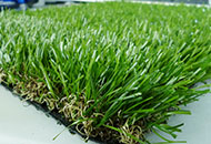 Artificial Grass